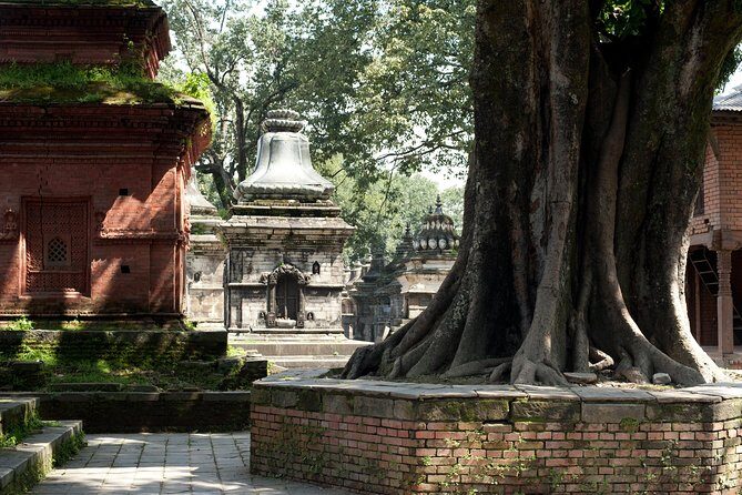 Tour of the Villages of Varanasi (Guided Sightseeing Tour by Car) - Final Thoughts: Is It Worth It?