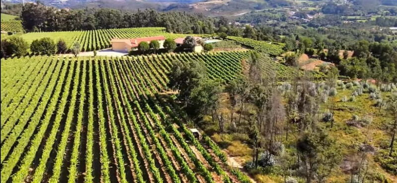 Tour of the vineyards, organic vegetable garden and animal farm. - Key Points