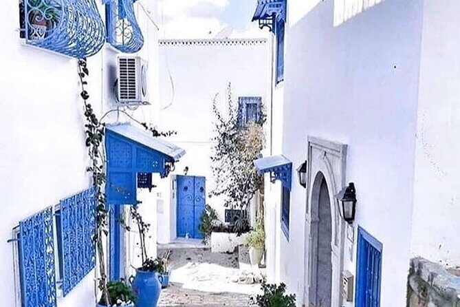 Tour of Tunis Carthage and Sidi Boussaid with local lunch - Discovering Tunis: An In-Depth Look at the Carthage and Sidi Bous Said Tour