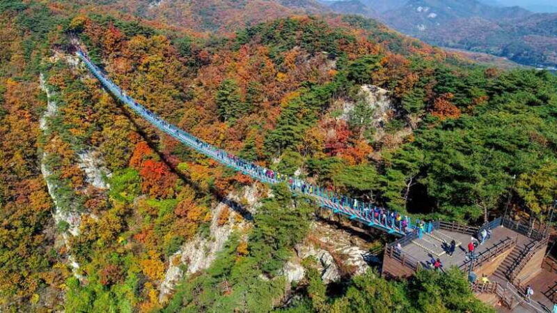 tour-of-wonju-koreas-natural-city