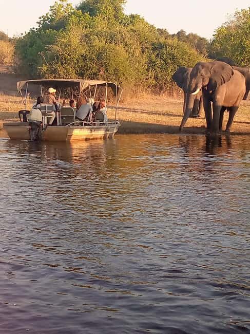 Tour Operator, River Cruises and Safari drives in the Chobe - Introduction