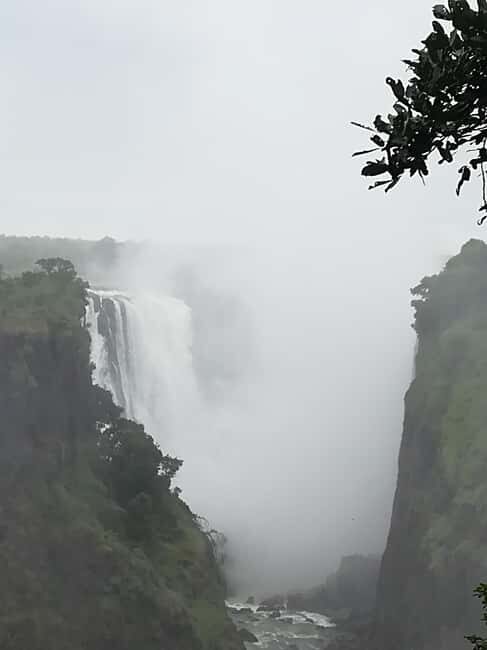 Tour Operator, River Cruises and Safari drives in the Chobe - Key Points