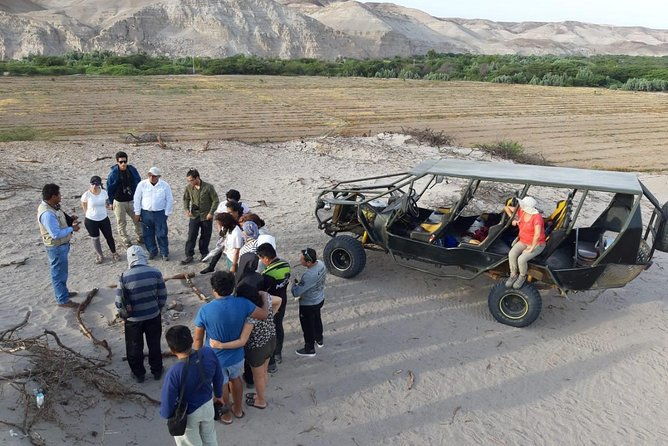 tour-operators-in-nasca-in-buggy-archeology-and-adventure