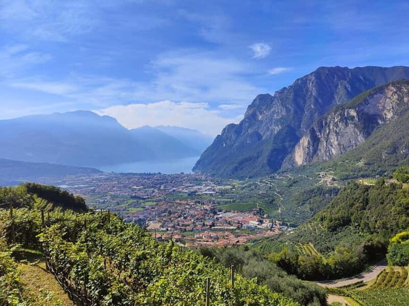 Tour panoramico Zona - FAQ