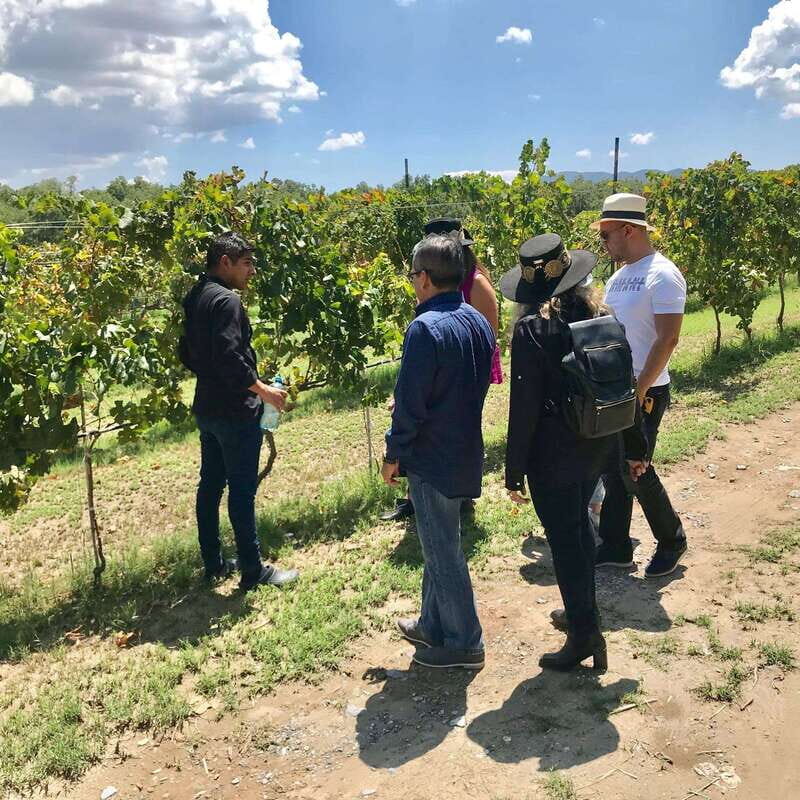 Tour "Parras de la Fuente", with guide, transfer and tickets - Key Points