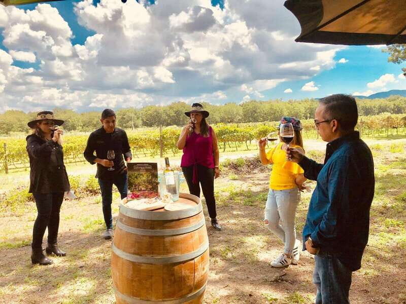 Tour "Parras de la Fuente", with guide, transfer and tickets - A Complete Look at the Parras de la Fuente Tour