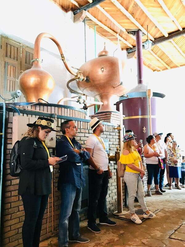 Tour "Parras de la Fuente", with guide, transfer and tickets - FAQ