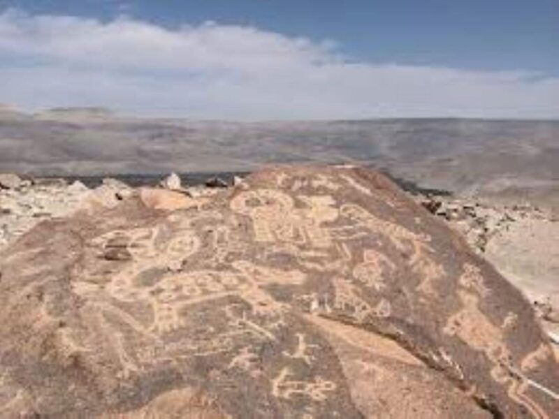 tour-petroglyphs-of-dead-bull-and-querullpa