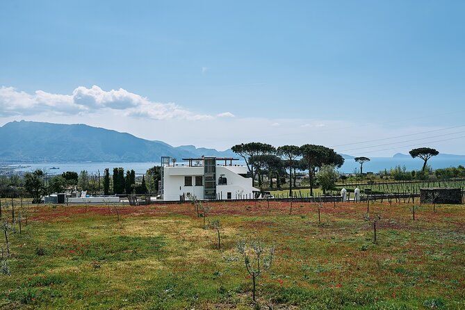 tour-pompeii-ruins-and-winery-lunch-included