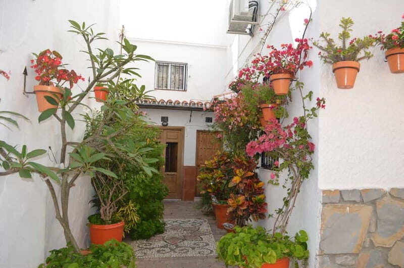 Tour por Estepona Centro - Exploring the Beauty of Estepona Center: A Detailed Review