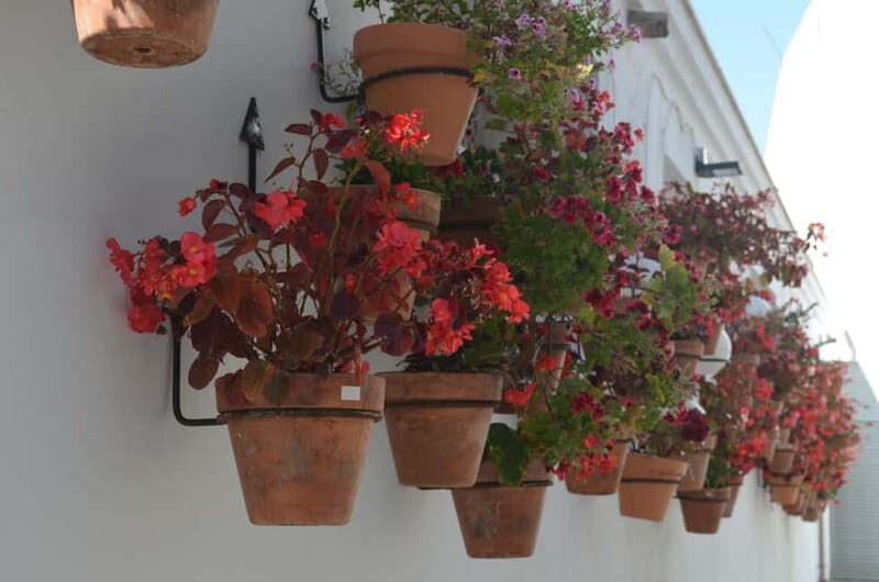 Tour por Estepona Centro - Key Points