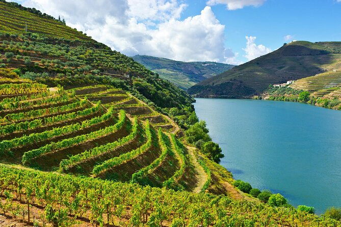 tour-porto-and-douro-from-lisbon