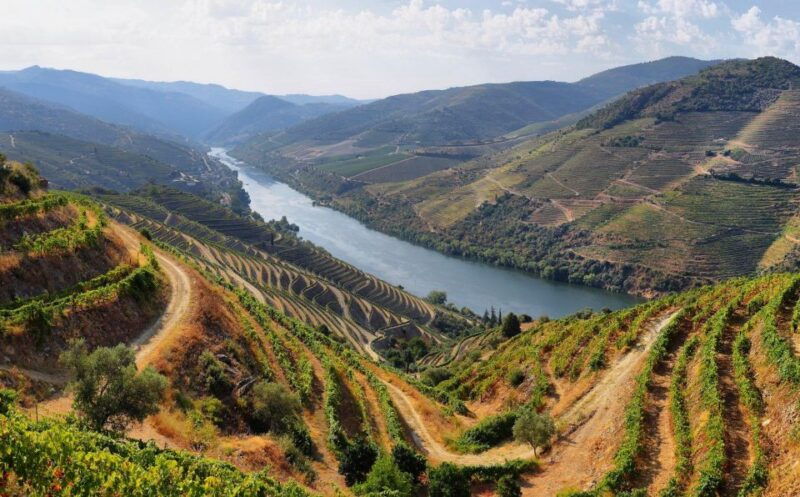 tour-porto-douro-valley-the-richness-of-wine-all-includ