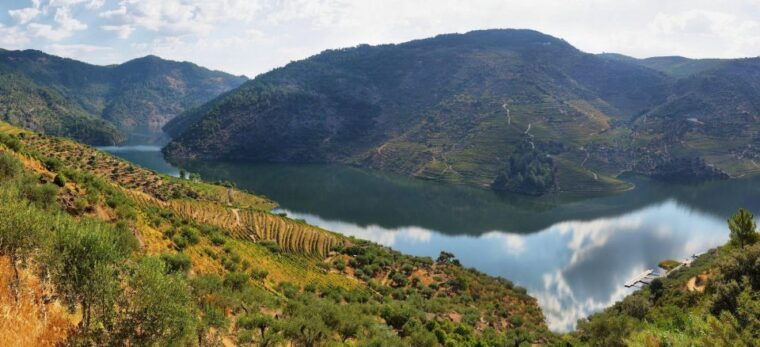 tour-porto-douro-valley-the-richness-of-wine-all-includ