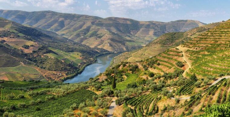 tour-porto-douro-valley-the-richness-of-wine-all-includ
