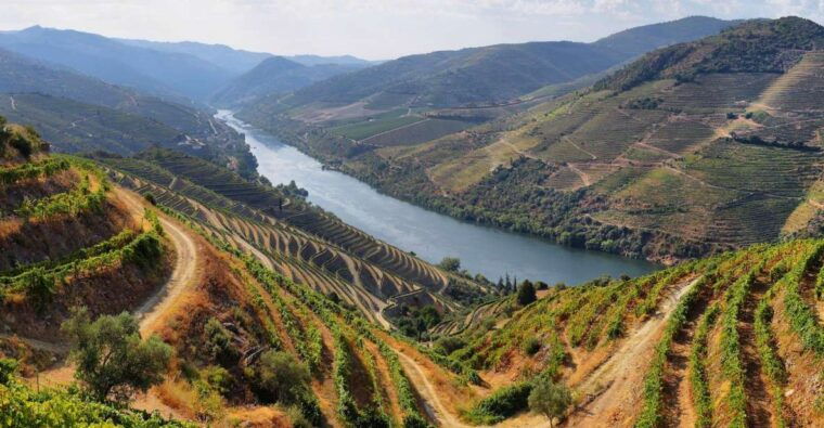tour-porto-douro-valley-the-richness-of-wine-all-includ