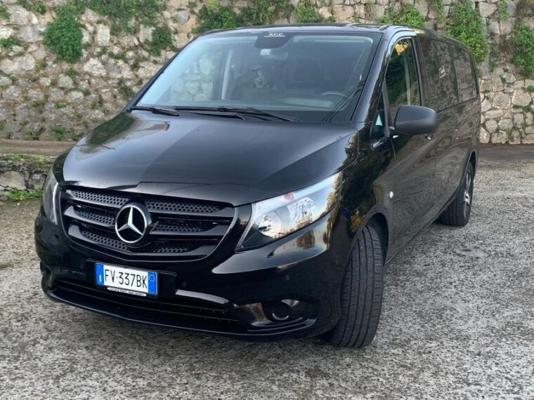 tour-positano-sorrento-pompeii-ruins-whit-driver
