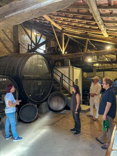 Tour Premium no Douro: Vinho, Cruzeiro e Comida Tradicional - FAQs