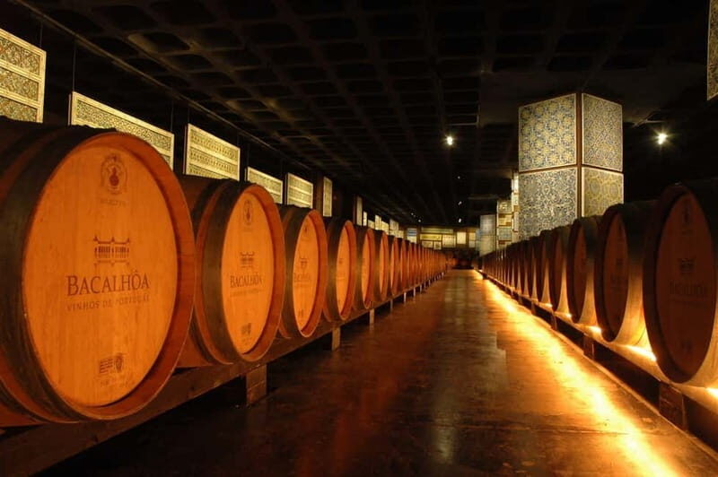 Tour Private Wine Tasting - An In-Depth Review of the Private Wine Tasting Tour
