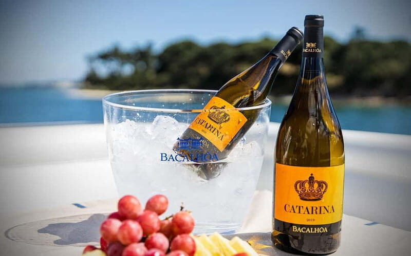 Tour Private Wine Tasting - The Sum Up: Who Will Love This Experience?