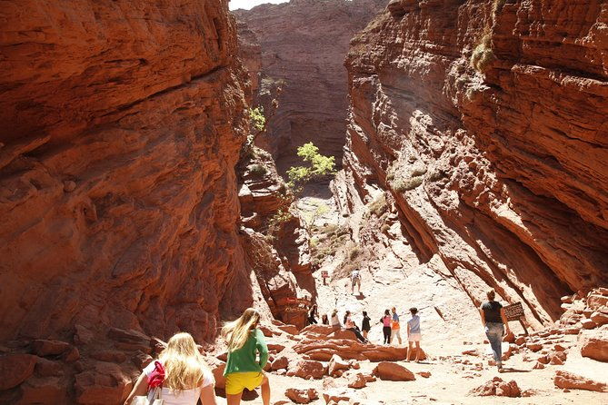 tour-quebrada-de-las-conchas-cafayate-salta
