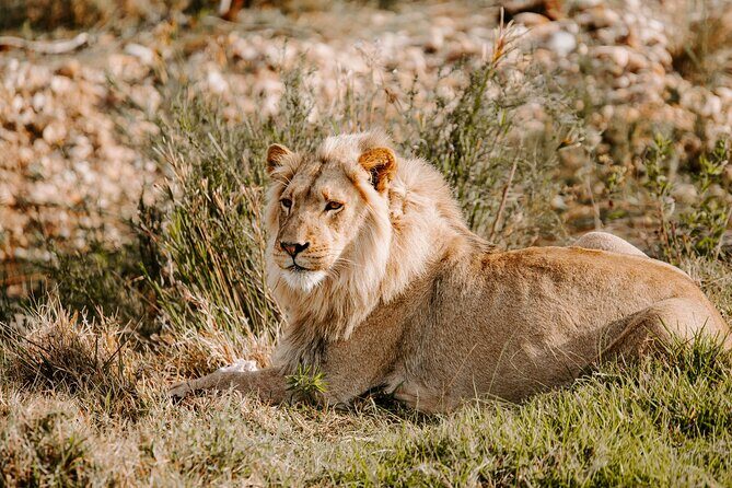 Tour Safari; Nairobi National Park - Key Points