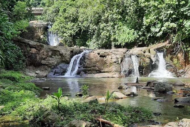 tour-shaman-medicinal-plants-and-waterfalls