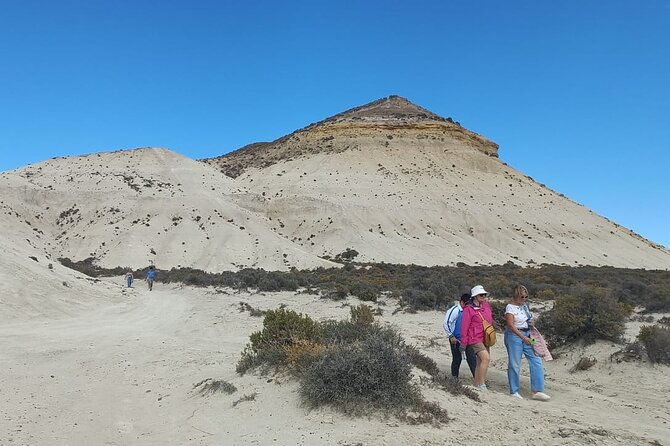 tour-south-circuit-best-of-puerto-madryn-in-4-hours