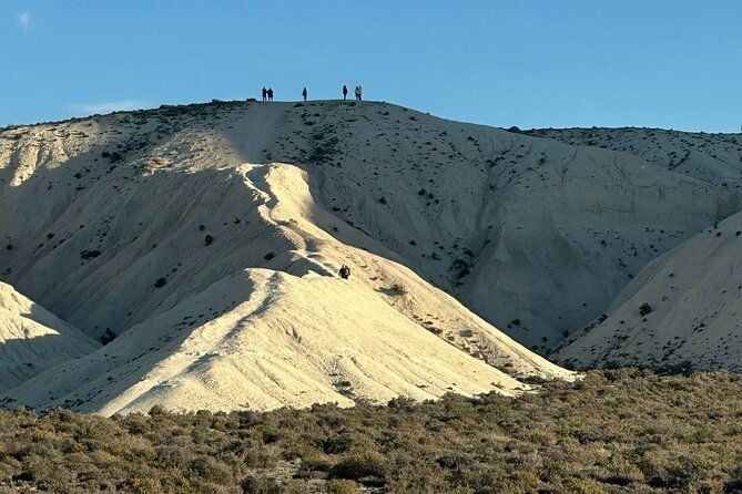 tour-south-circuit-best-of-puerto-madryn-in-4-hours