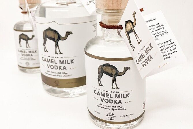 Tour, Taste & Camel Encounter - The Sum Up: Is This Experience for You?