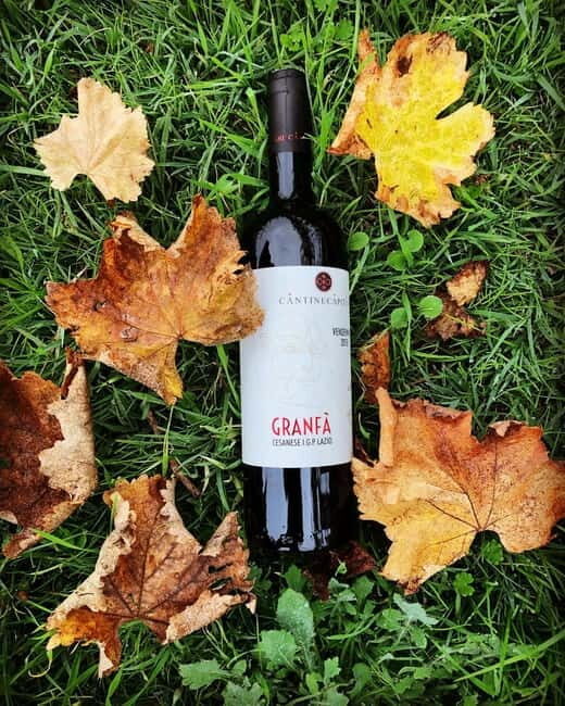 Tour & Tasting at Cantine Capitani - What Sets This Tour Apart