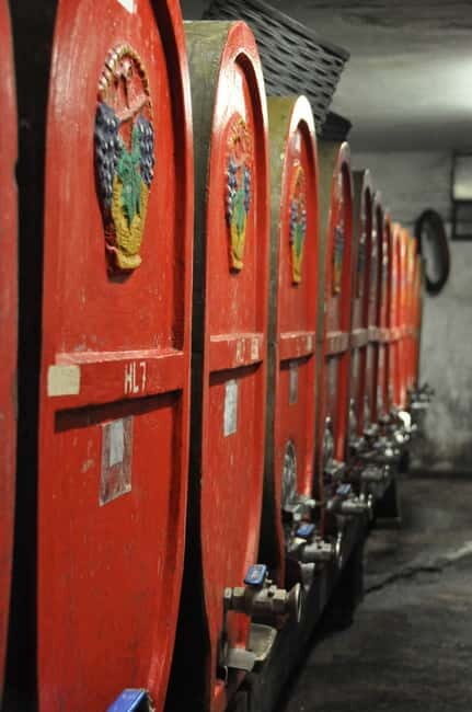 Tour & tasting at Tenuta la Viola - A Closer Look at the Experience