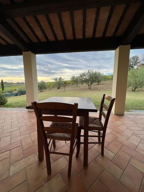 Tour & tasting at Tenuta la Viola - Why This Tour Offers Great Value