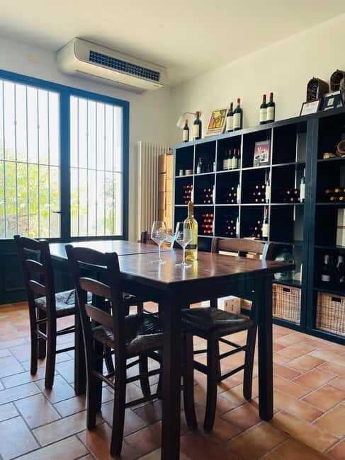 Tour & tasting at Tenuta la Viola - Final Thoughts