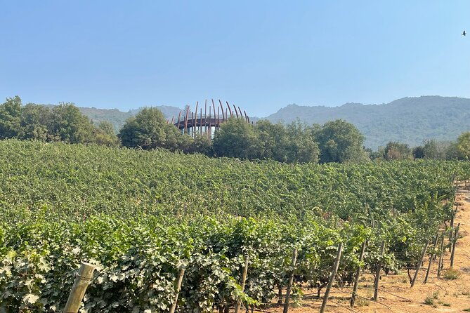 tour-tasting-colchagua-valley