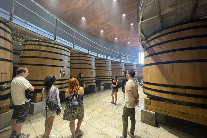 tour-tasting-colchagua-valley