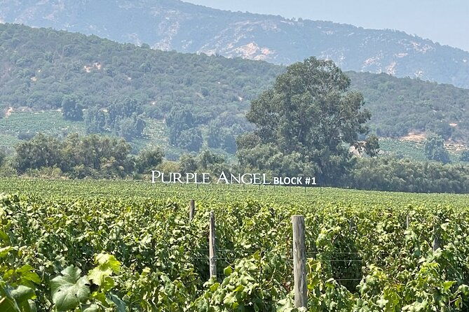 tour-tasting-colchagua-valley