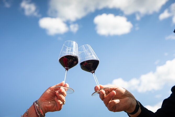 tour-tasting-platter-at-an-organic-winery-panzano-in-chianti-2