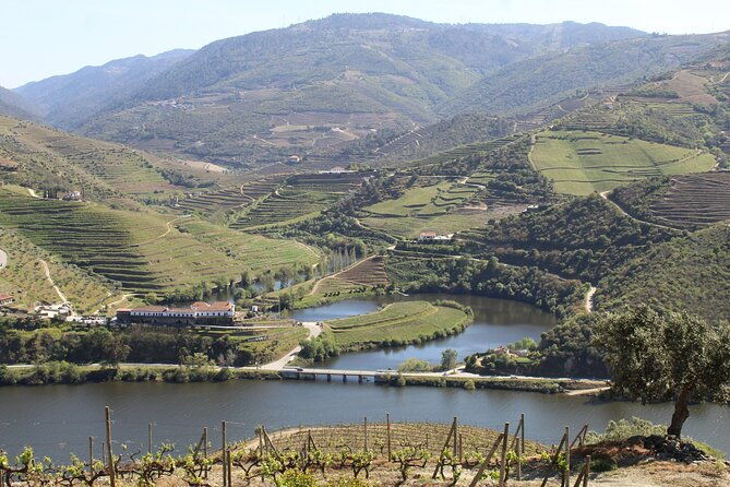 tour-the-douro-wine-region-and-discover-the-fantastic-landscape