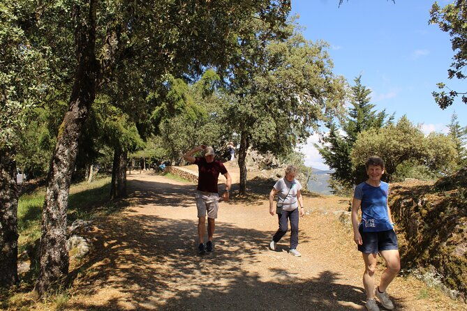 tour-the-douro-wine-region-and-discover-the-fantastic-landscape