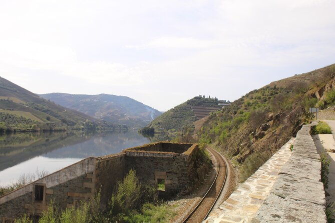tour-the-douro-wine-region-and-discover-the-fantastic-landscape
