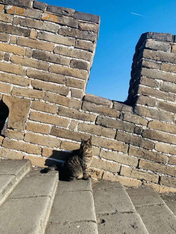 Tour the Great Wall with a Native from Downtown Beijing - Final Thoughts