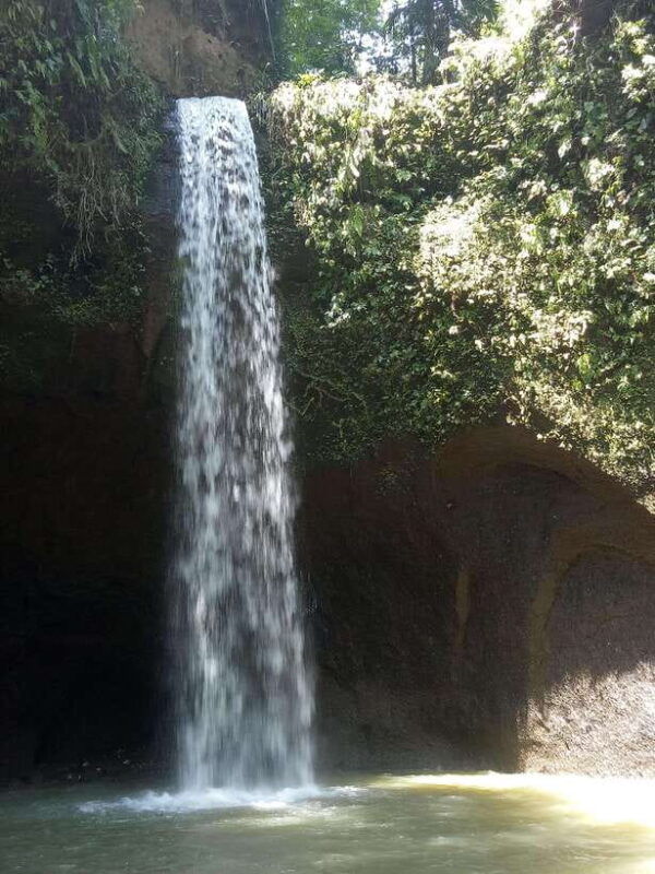 tour-the-island-of-bali-with-expert-tour-guides-in-spanish