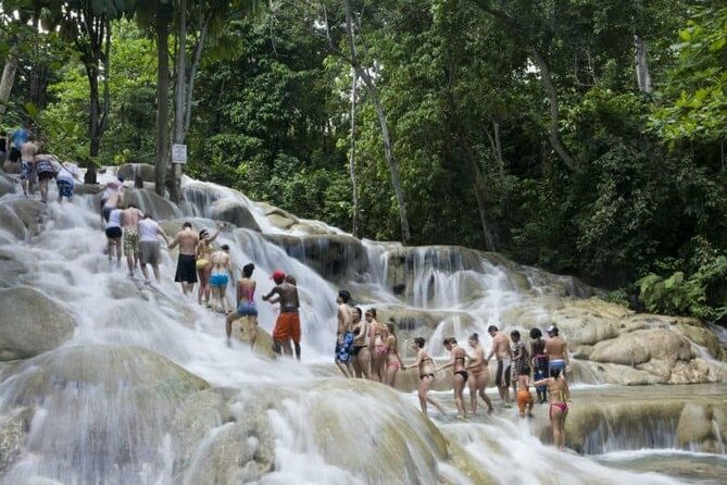 tour-the-natural-beauty-of-dunns-river-falls-from-montego-bay