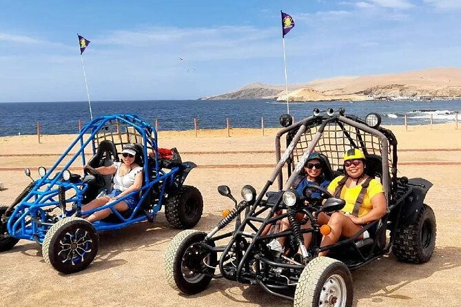 tour-the-paracas-national-reserve-in-a-minibuggy