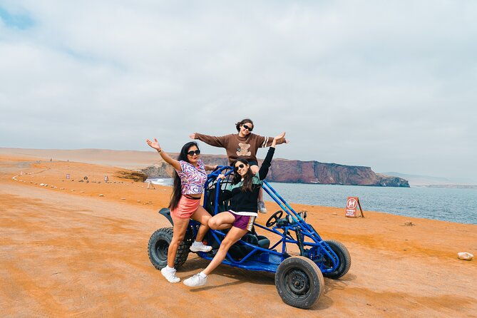 tour-the-paracas-national-reserve-in-a-minibuggy
