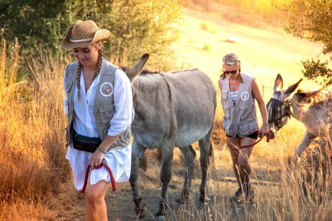 tour-the-sanctuary-and-walk-with-the-donkeys-and-share-their-love-2