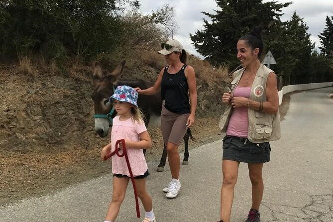 tour-the-sanctuary-and-walk-with-the-donkeys-and-share-their-love-2