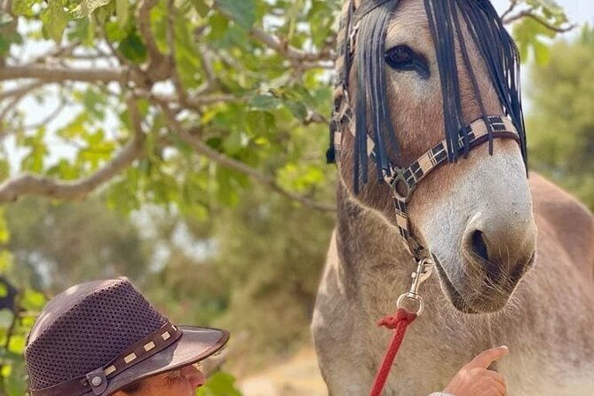 tour-the-sanctuary-and-walk-with-the-donkeys-and-share-their-love-2