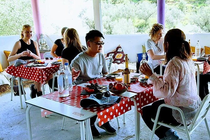 tour-the-sanctuary-and-walk-with-the-donkeys-and-share-their-love-2